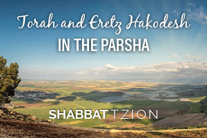 Torah and Eretz Hakodesh in the Parsha