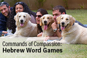 Commands of Compassion: Hebrew Word Games