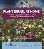 Plant Israel at Home™ Seed Packets