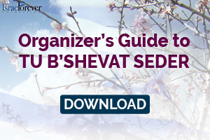 Organizer's Guide to Tu BShevat Seder
