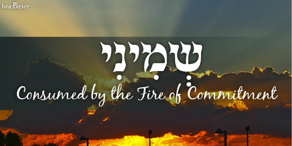 Parshat Shemini - Consumed by the Fire of Commitment 
